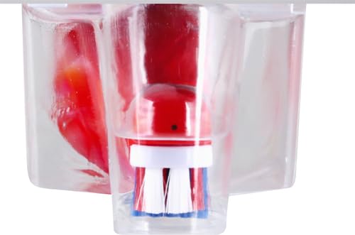 Oral-B Kids Battery Power Electric Toothbrush Featuring Disney's Star Wars for Children and Toddlers age 3+, Soft (Characters May Vary), Multi