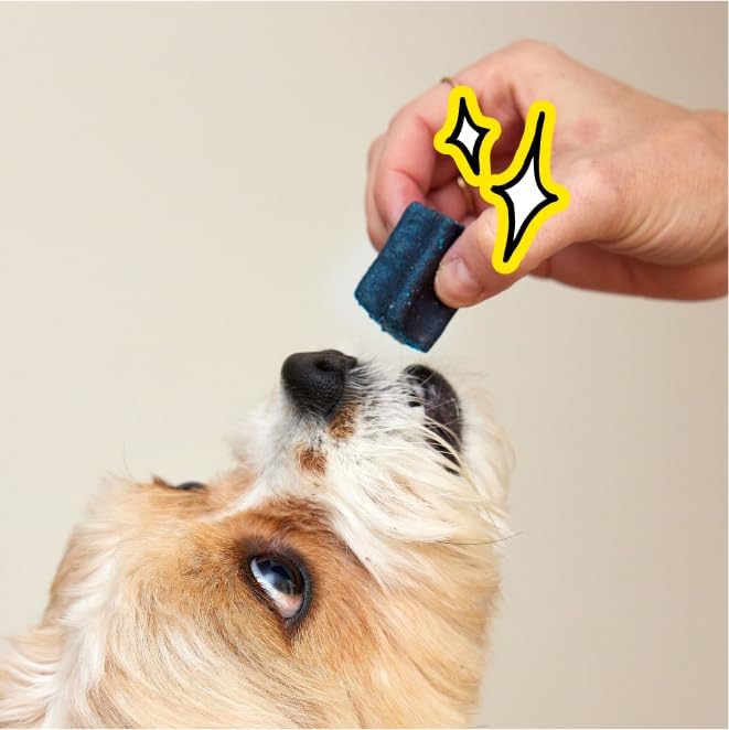 Spot & Tango PupGum Dog Dental Chews for Fresh Breath & Teeth Cleaning – Clinically Proven Plaque & Tartar Control – Human-Grade, Vet-Developed Dental Care Treats for Dogs 16-40lbs – Made in USA