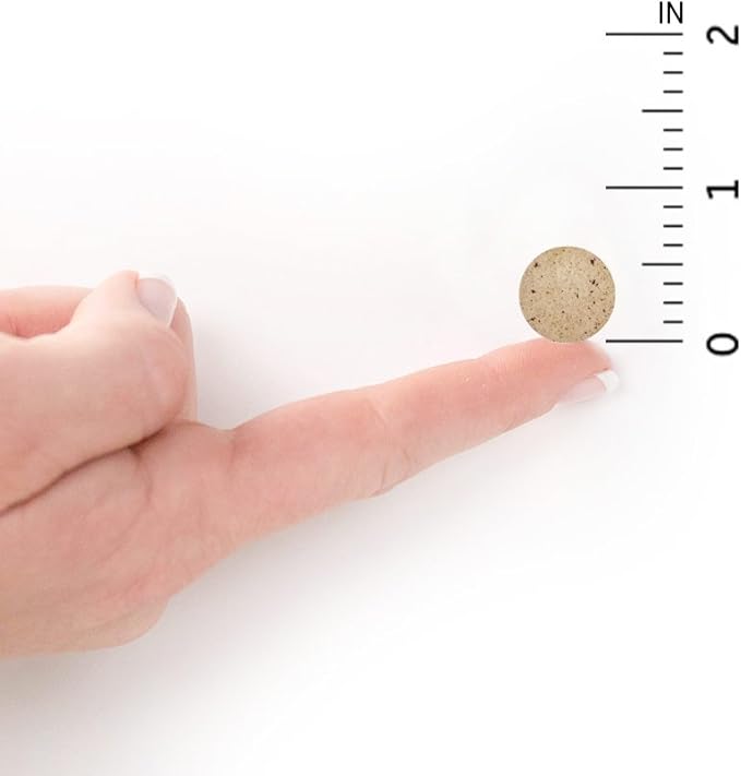 Garden of Life Dr Formulated Digestive Enzymes with Papain, Bromelain, Lipase for Digestion & Nutrient Absorption – Organic Digest+ - Vegan, Gluten-Free, Non-GMO, Tropical Fruit Flavor, 90 Chewables-StrideForce Fitness