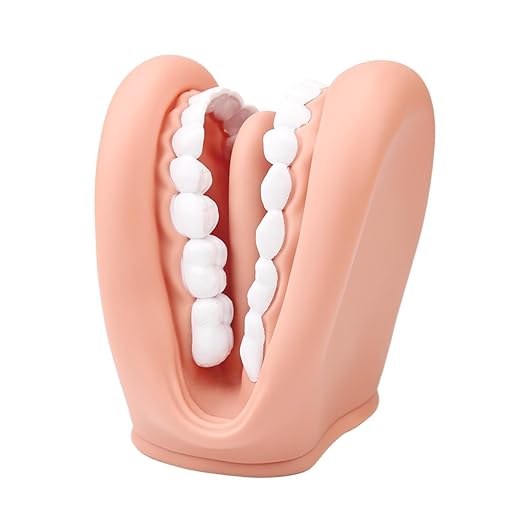 Mouth Puppet with Tongue Teeth for Speech Therapy Soft Silicone Giant Teeth Demonstration Model Brushing Oral Model(1pc Mouth Puppet+1pc Toothbrush)