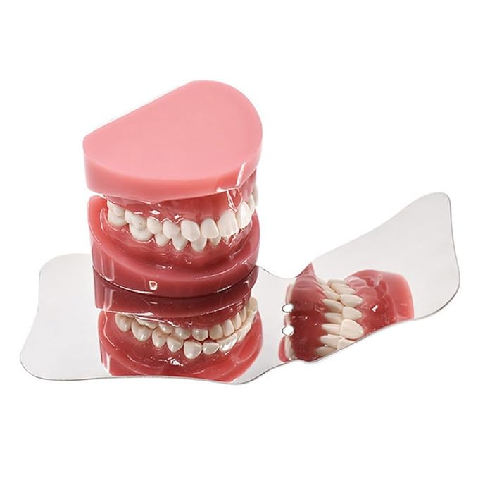 Dental Orthodontic Photography Reflector Mirror Photographic Intra-Oral Stainless Steel Bendable Image Reflector Occlusal Mirror Instrument (#14)