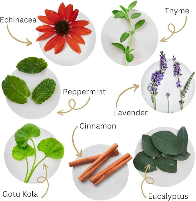 Soothe Gums & Freshen Breath Naturally | Herbal Oral Rinse with Essential Oils | Alcohol-Free, Fluoride-Free Mouthwash | Plant-Based Oral Care | Tooth & Gums Tonic by Dental Herb Company