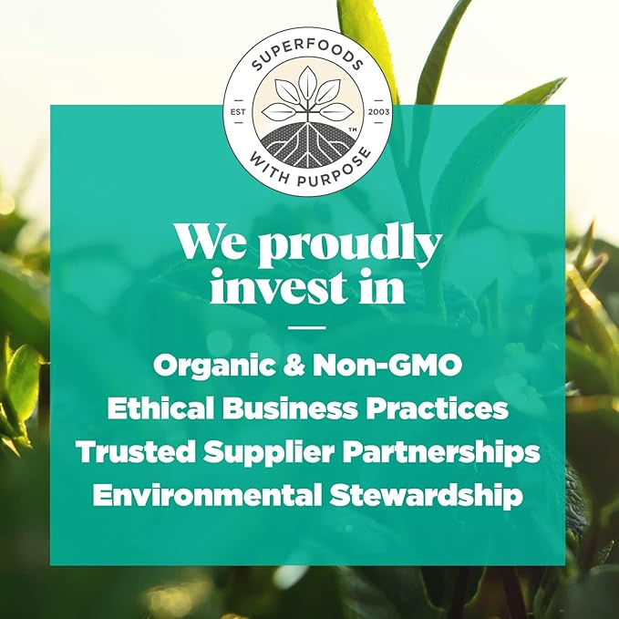 Navitas Organics Matcha Powder – For Tea, Lattes, Smoothies, Desserts & More – Energy & Antioxidants – Premium Culinary Grade – USDA Organic, Non GMO, Gluten Free, Kosher, Vegan (3oz. Bag 85 Servings)-StrideForce Fitness