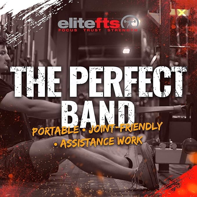 EliteFTS Pro Resistance Band - Boost Core Stability and Flexibility with This Portable, Joint-Friendly Tool-StrideForce Fitness