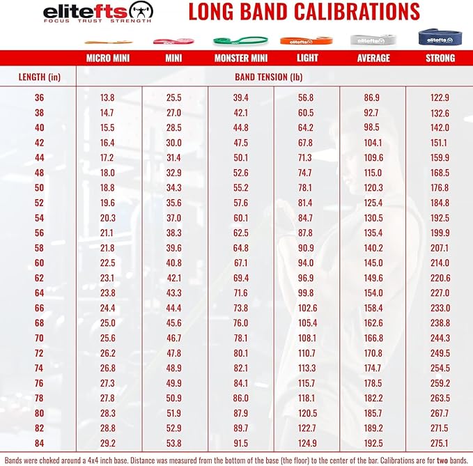 EliteFTS Pro Resistance Band - Boost Core Stability and Flexibility with This Portable, Joint-Friendly Tool-StrideForce Fitness