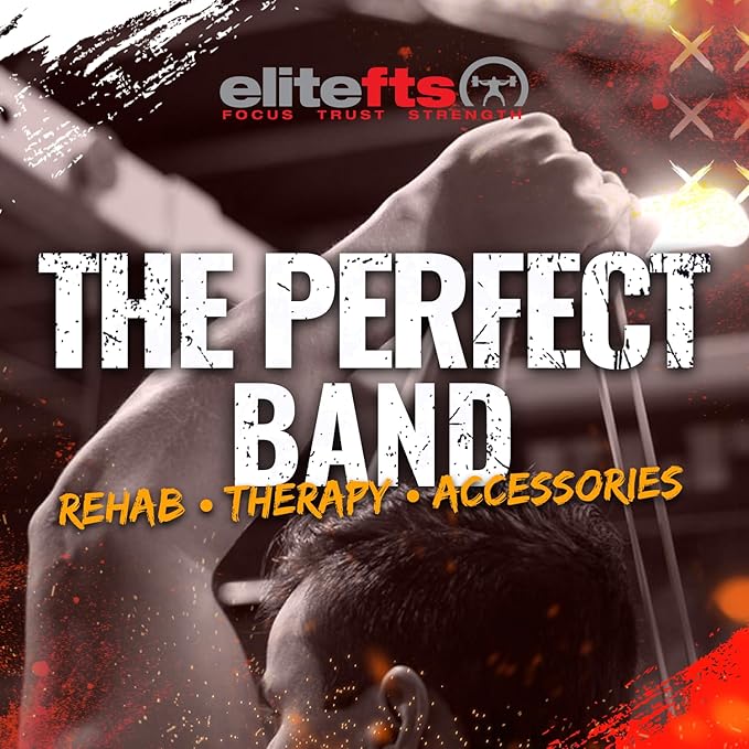 EliteFTS Pro Resistance Band - Boost Core Stability and Flexibility with This Portable, Joint-Friendly Tool-StrideForce Fitness