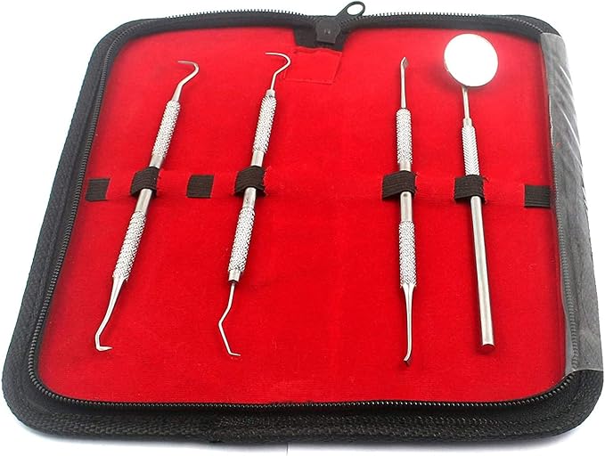 Finest Quality Dental Tool Kits Hygiene from PRECISE CANADA for Home and Professional USE | A Grade Stainless Steel Tartar Remover Tools - Dental Mirror, Scaler/Pick Set, Tongue Cleaner and Scraper