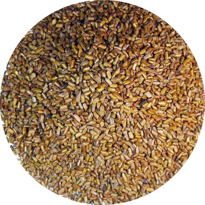 Green Hill Cassia Tea – Loose Leaf Chinese Herbal Tea – beneficial for "detox" – 100% Natural,NO GMO,Caffeine free packed in ziplock foil bag 500 grams-StrideForce Fitness