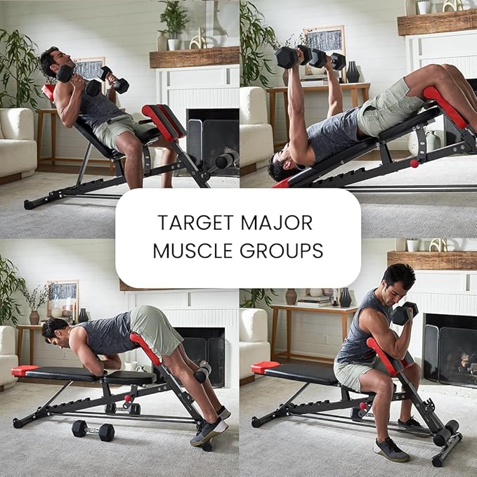 Finer Form Multi-Functional FID Weight Bench for Full