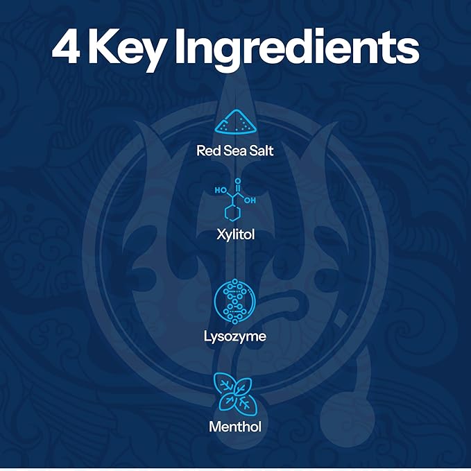 H2Ocean Healing Rinse Natural Sea Salt Oral Care - Mouth Rinse for Oral Care - Great for Piercings, Sore Throats & Gum Health - Alcohol- & Fluoride-Free Mouthwash - Lemon Ice, 16 oz