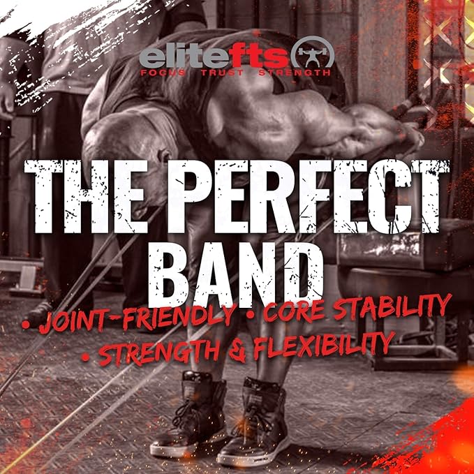 EliteFTS Pro Resistance Band - Boost Core Stability and Flexibility with This Portable, Joint-Friendly Tool-StrideForce Fitness