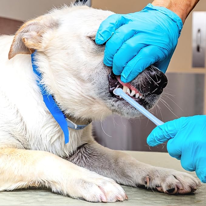 8 Pcs Soft Bristles Angled Toothbrush End Tuft Toothbrush with Covers Single Tufted Toothbrushes Small Head for Hard-to-Reach Areas Orthodontic Toothbrushes for Braces, Implants, Back Teeth, Retainers