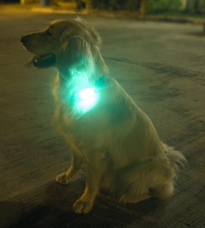 LED Safety Light (2 Pack) - Clip On Strobe/Running Lights for Runners, Dog, Bike, Walking, Boat, Kayak, Stroller and More - High Visibility Accessories for Your Reflective Gear, Bicycle-StrideForce Fitness