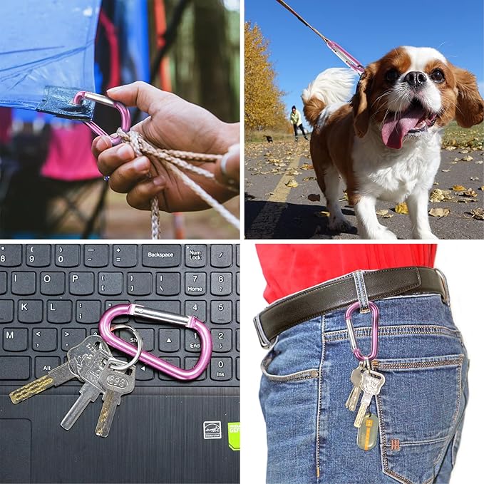 sprookber 3" Aluminum Carabiner D Ring, Caribeener Clips, Spring Snap Hook for Keychain Clip, Set of 10-StrideForce Fitness