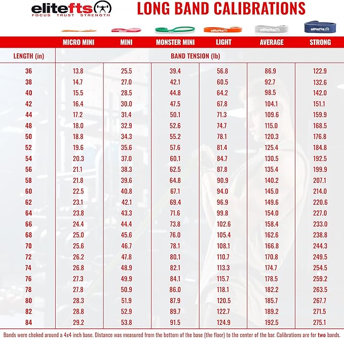 EliteFTS Pro Resistance Band - Boost Core Stability and Flexibility with This Portable, Joint-Friendly Tool-StrideForce Fitness