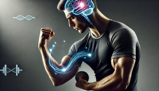 The Science of Mind-Muscle Connection