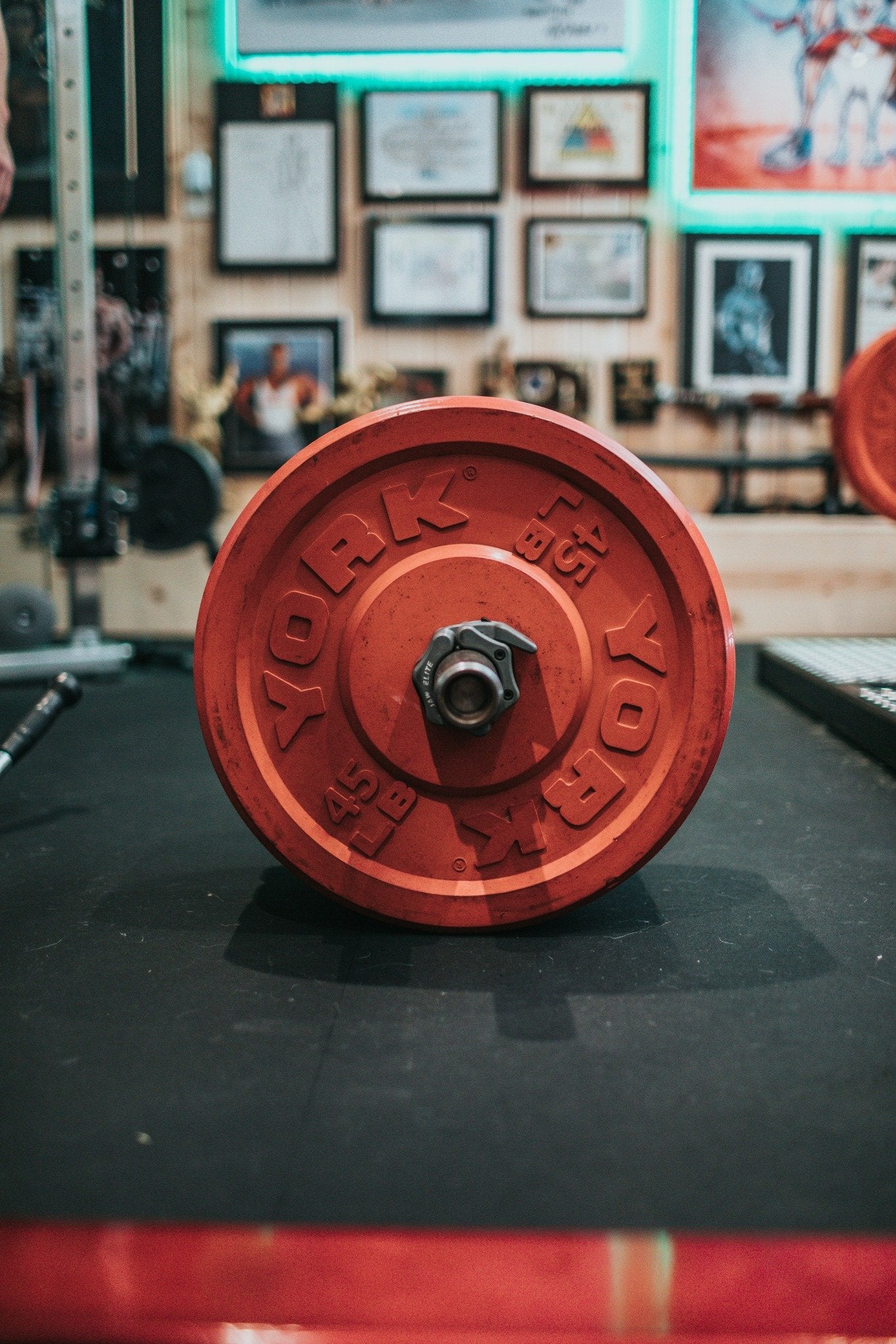 Weight Plates & Barbells