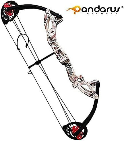 Compound Bow Archery for Youth and Beginner, Right Handed,19”-28” Draw Length,15-29 Lbs Draw Weight, 260 fps-StrideForce Fitness