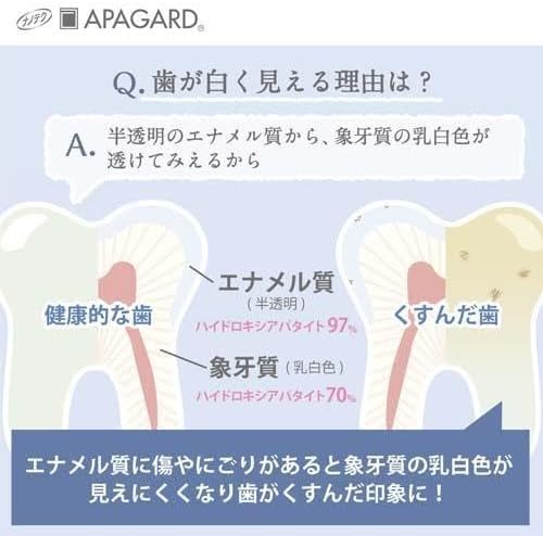 Apogard Toothpaste Smoker Care 3.7oz(105g) Japanese Toothpaste Renewal 2023ver.