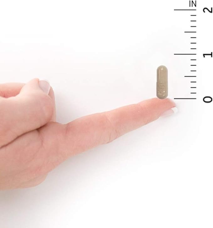 Garden of Life Vitamin Code Raw One for Men, Once Daily Multivitamin, 75 Capsules, One a Day Mens Vitamins Plus Fruit, Veggies & Probiotics for Mens Health, Vegetarian Multivitamins-StrideForce Fitness