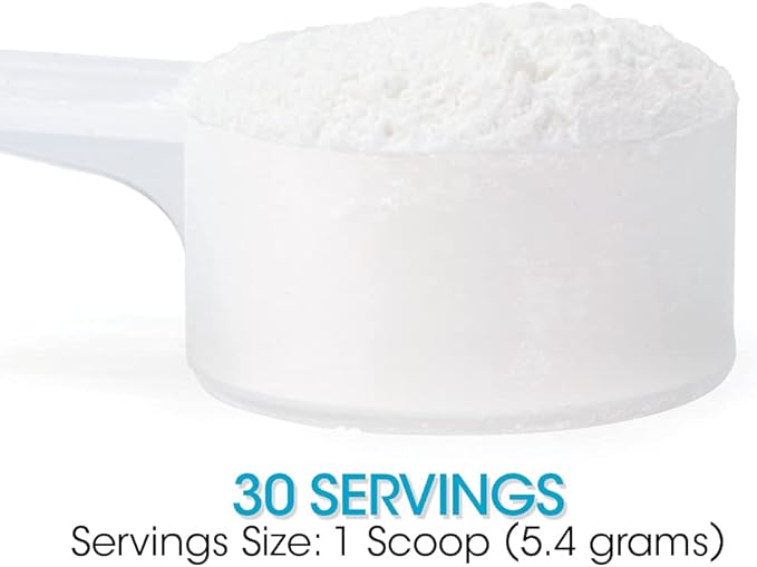 Silver Fern Gut Repair - Digestive Health Supplement Powder L-Glutamine, Curcumin, Zinc, Ascorbic Acid Blend-StrideForce Fitness