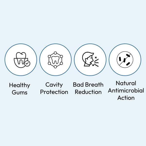 DOCSMEDI Doctrust K Kid-Friendly Toothpaste with 922 ppm Fluoride/Cavity Prevention/Removing Plague/Suppressing Bad Breath (2X Gum Care Toothpaste, Apple Mint)