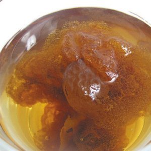 Greenhilltea, Malva Nut Dried Sterculia Lychnophora, Dried Pangdahai胖大海, Caffeine free .NO GMO, NO Additives, Selected,shipping from USA, packaged in foil zip lock bag 3.5 OZ-StrideForce Fitness