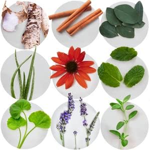 Dental Herb Company - Essentials Toothpaste (4 oz.) Fluoride-Free (3 Pack)