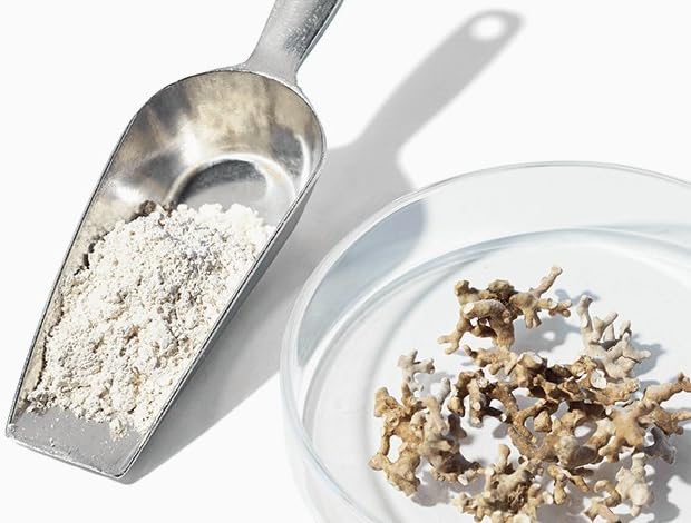 Amazon Elements Calcium Complex with Vitamin D, 250 mg Calcium (3 per Serving), Vegan, 195 Capsules (Packaging May Vary), Supports Strong Bones and Immune Health (Pack of 2)-StrideForce Fitness