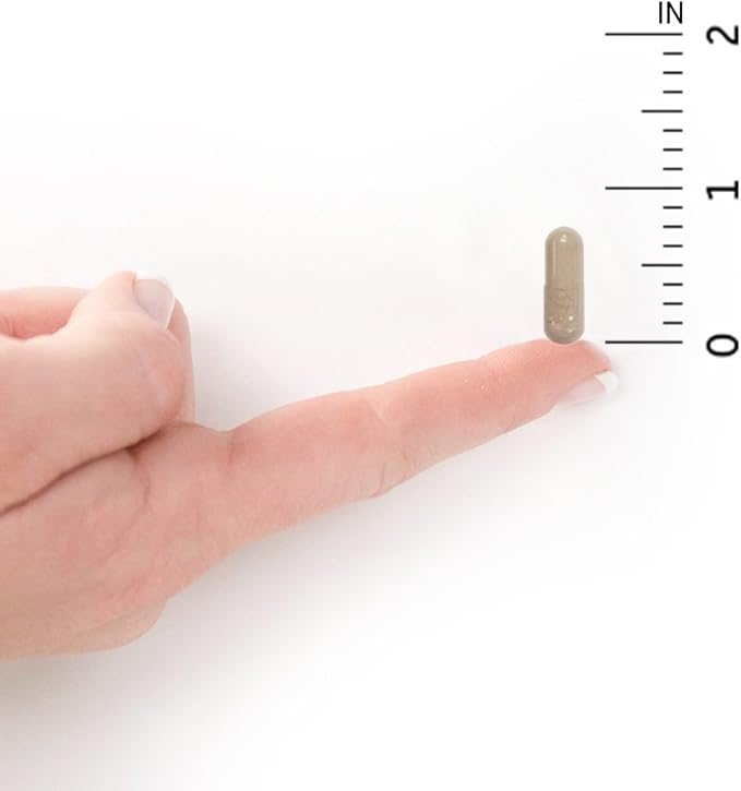 Garden of Life Multivitamin for Women, Vitamin Code Women's Multi - Whole Food Womens Multi Vitamins, Iron, Folate not Folic Acid, Vitamin A and Probiotics for Womens Energy, 240 Vegetarian Capsules-StrideForce Fitness