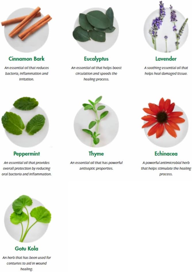 Tonic Traveler Mouthwash Minis (12 Pack) + Bamboo Toothbrush – Natural Alcohol-Free Mouthwash for Gum Health & Bad Breath – Dental Herb Company