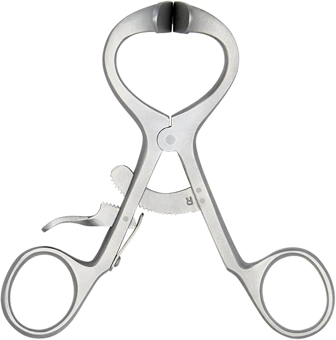 Molt Mouth Gag, Dental Surgical Stainless Steel, Orthodontic Instruments (Molt Mouth Gag 3.50")