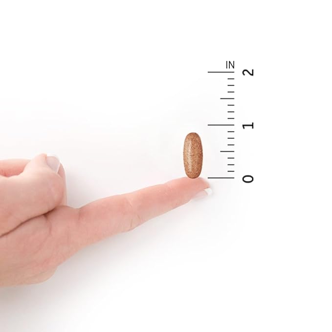 Garden of Life Once Daily Whole Food Multivitamin for Men, Organic Mens Vitamins & Minerals, Vitamin C, Zinc, Vegan, for Health & Well-Being, 60 Tablets-StrideForce Fitness