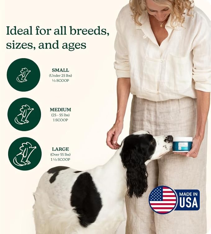 Reggie Dental Powder for Dogs | Reduce Bad Breath in 7 Days, Plaque & Tartar Control | Natural Dog Dental Supplement | Postbiotic Formula with Organic Kelp | Vet-Approved & Made in USA | 60 Servings