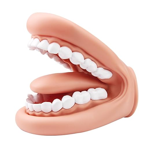 Mouth Puppet with Tongue Teeth for Speech Therapy Soft Silicone Giant Teeth Demonstration Model Brushing Oral Model（1pc Mouth Puppet+1pc Toothbrush)