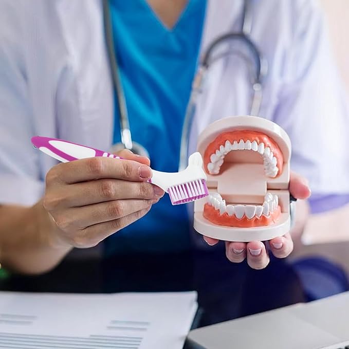 4 Pcs Denture Brush, Portable Denture Toothbrushes with White Carrying Case, Dual Angled False Teeth Care Cleaning Brush with Multi-Layered Soft Bristles (Purple, Green, Blue, Orange)