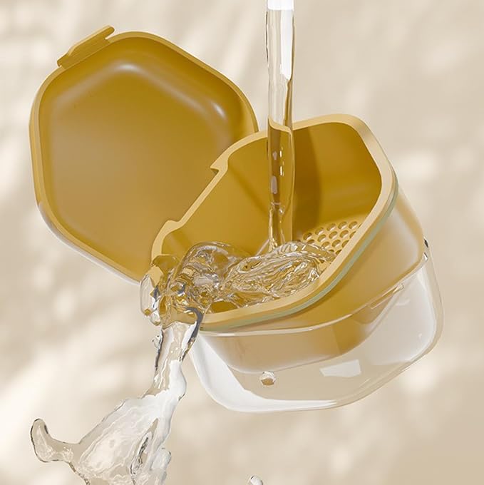 Double-layer Invisible Braces Orthodontic Retainer Storage Box,Retainer Case,Mouth Guard Case,Portable Denture Storage Washable Box with Hook,BPA-Free Teeth Whitening Storage Box (white)