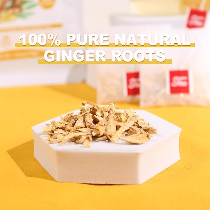 TEARELAE - Ginger Tea Bags, 64 Count - 100% Pure Ginger Root Tea, Soothing & Spicy - Non-GMO - Caffeine-free - Aid Digestion & Support Respiratory-StrideForce Fitness