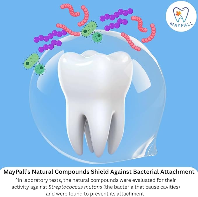 Watermelon Flavored Kid's Mouthwash, Safe to Swallow, Natural, Promotes Healthy Teeth, Gentle Taste, No Burn, Fluoride Free, Alcohol Free, 16.9oz (Pack of 2).