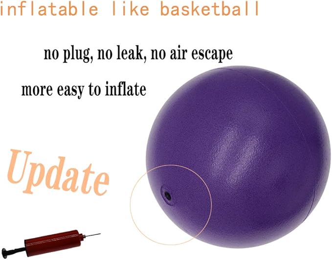 Pilates Ball 8 inch, Small Exercise Ball for Between Knees with Needle Pump for Core Workout & Physical Therapy Yoga PT-StrideForce Fitness