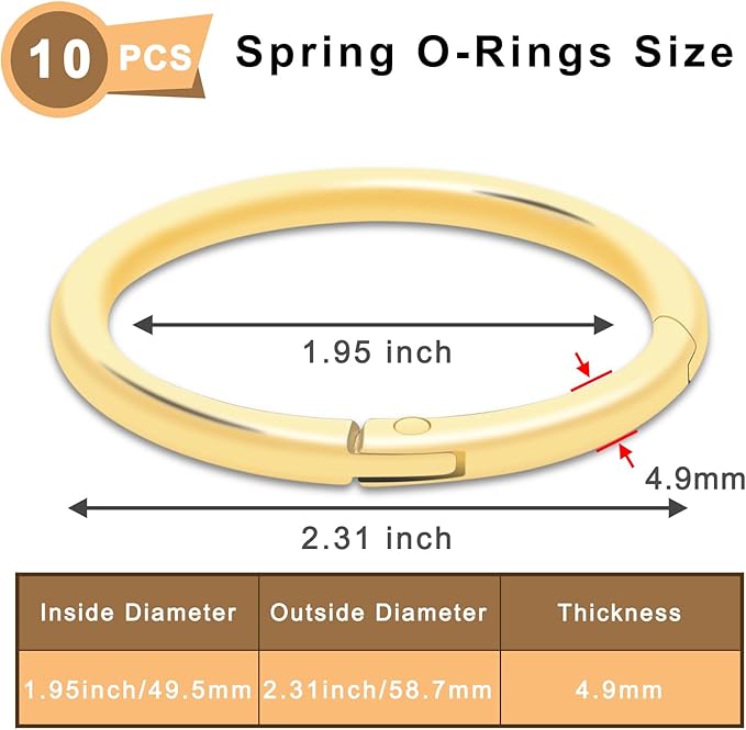 10Pack 2" Large Round Carabiner Clips, Metal Spring O Rings for Organizer Key Rings, Paracord Keychain Lanyard, Pet Chains, Purse Hardware, Key Snap Hooks DIY Accessory (Gold)-StrideForce Fitness