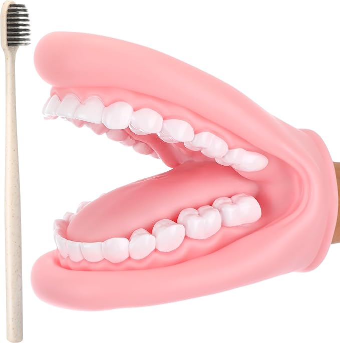 Patelai 1 Pcs Mouth Puppet with Tongue Teeth Mouth Hand Puppet Dental Model and Toothbrush for Boys Girls Educational Tools Speech Therapy (Pink)
