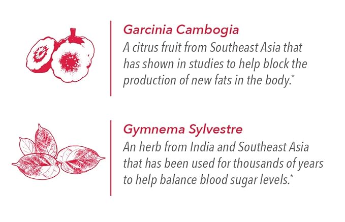 Javita Control Fruity (Acai, Pomegranate) Drink Mix Beverage with Slimming Herbs (Garcinia Cambogia, Gymnema Sylvestre) to Help Support Healthy Lifestyle, Appetite (2 Boxes/48 sticks)-StrideForce Fitness