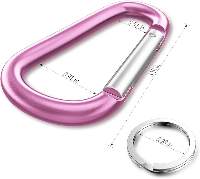 sprookber 3" Aluminum Carabiner D Ring, Caribeener Clips, Spring Snap Hook for Keychain Clip, Set of 10-StrideForce Fitness