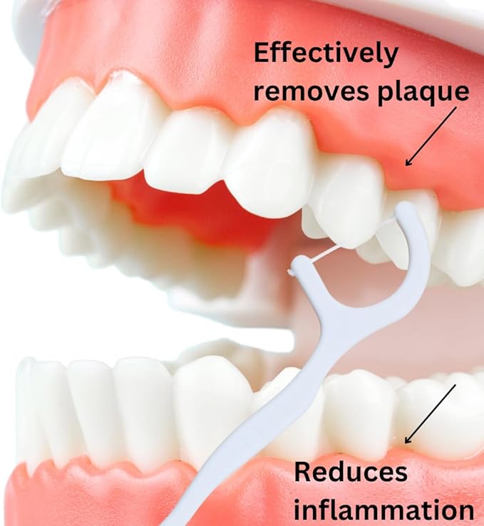 Dental Herb Company Biodegradable Dental Floss Picks, 200 Count (4×50) - Unflavoured, Plant-Based, Plastic-Free & BPA-Free Tooth Flossers, Vegan & Eco-Friendly Oral Care