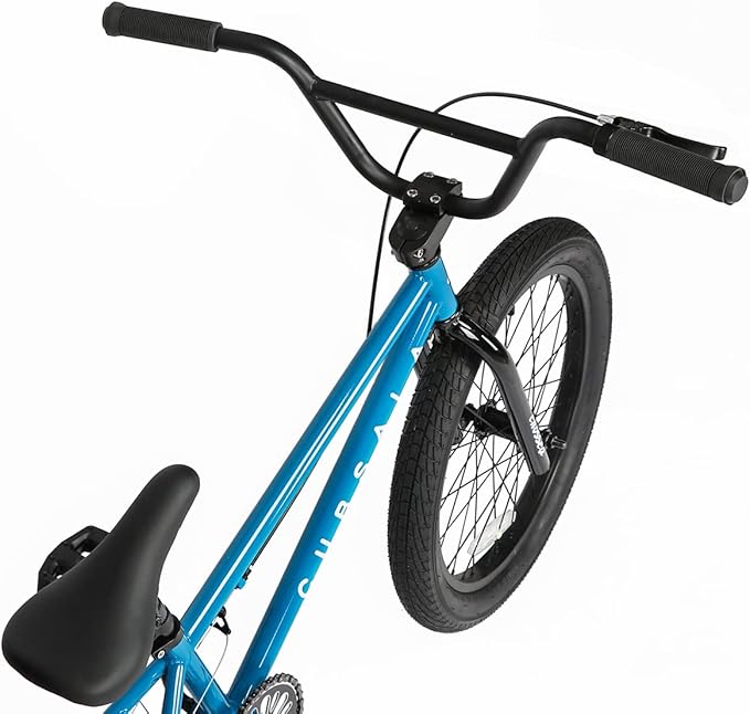 Freestyle BMX Bike, 18 20 Inch Kids Bicycle for 5-13 Years Old Kids and Beginner Level Rider, Multiple Colors-StrideForce Fitness
