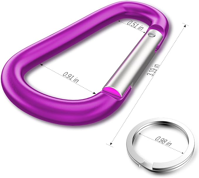 sprookber 3" Aluminum Carabiner D Ring, Caribeener Clips, Spring Snap Hook for Keychain Clip, Set of 10-StrideForce Fitness