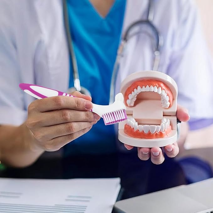 Denture Brush, 4 Pcs Dual Angled Denture Toothbrushes with Black Carrying Case, Portable False Teeth Care Cleaning Brush with Multi-Layered Soft Bristles (Purple, Green, Blue, Orange)