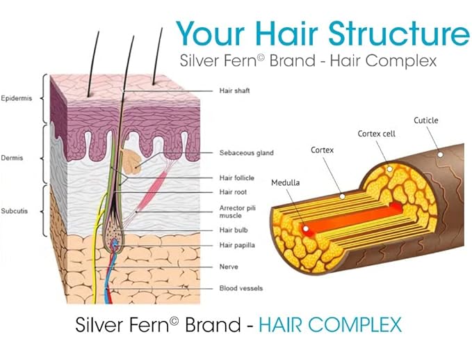 Silver Fern Hair Complex Hair Supplement - Each Bottle Contains a 30-Day Powder Supply - 1 Bottle-StrideForce Fitness