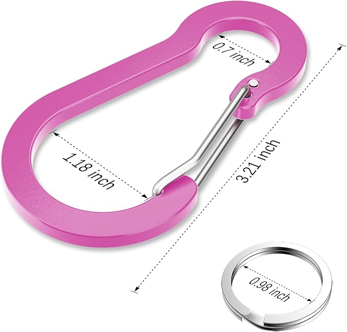 sprookber 3.2 Inch Aluminum Carabiner Clips D Ring, Caribeaner Spring Snap Hook with Keychain for Camping, Hiking, Gym & Outdoor Gear, Set of 10-StrideForce Fitness